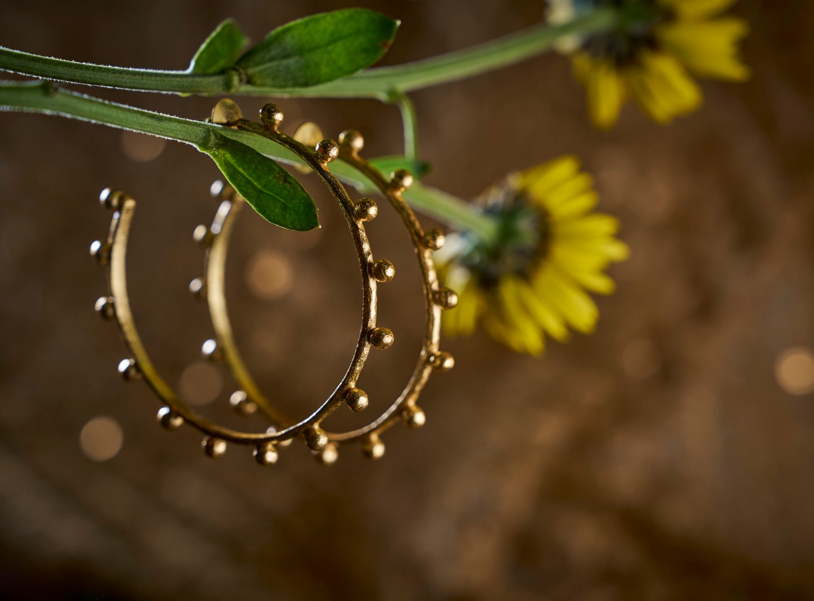 Earrings large studded hoops