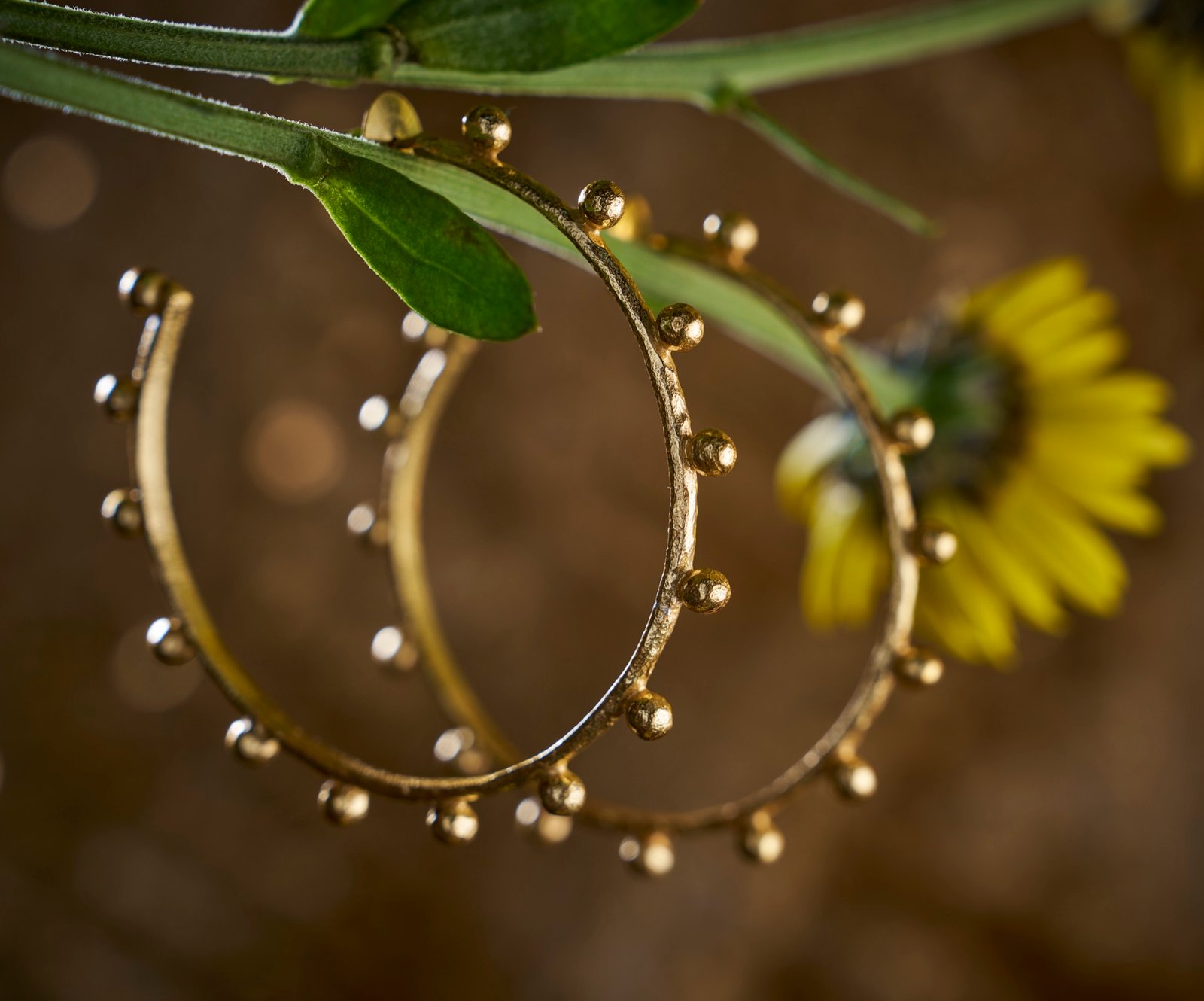 Earrings large studded hoops